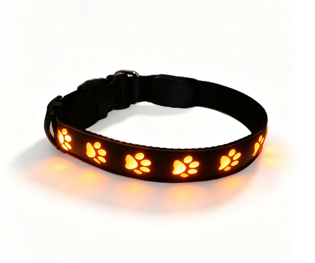 LED-Hundehalsband in Orange mit leuchtenden Pfotenmotiven
