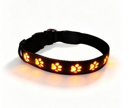 LED-Hundehalsband in Orange mit leuchtenden Pfotenmotiven