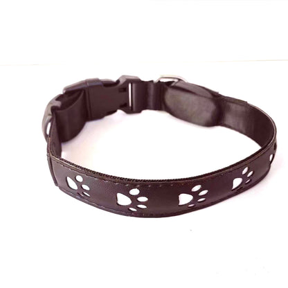 LED-Hundehalsband in Weiss mit Pfotenmotiven und Schnellverschluss
