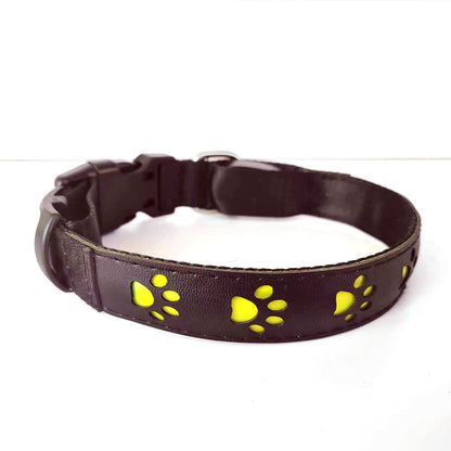 LED-Hundehalsband in Gelb mit Pfotenmotiven und Schnellverschluss