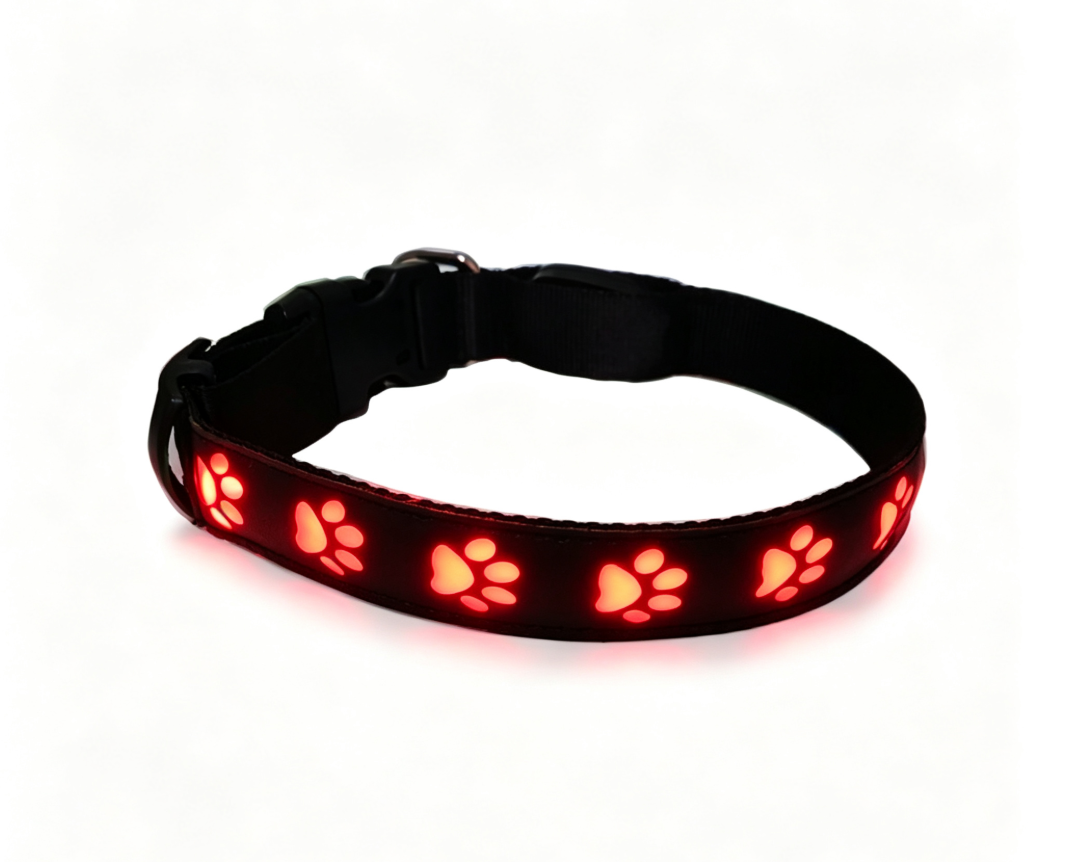 LED-Hundehalsband in Rot mit leuchtenden Pfotenmotiven